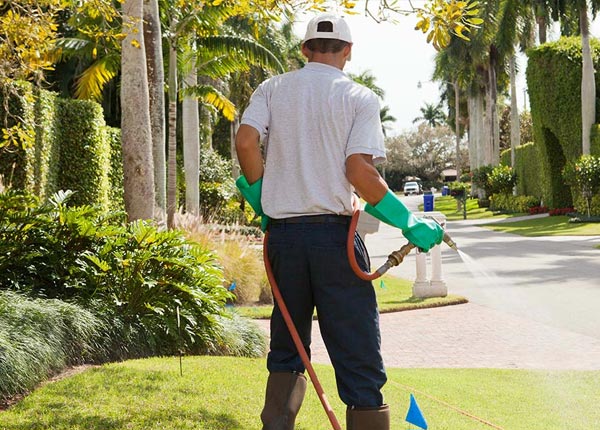 About Hickory NC Pest Control Pros